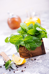 Image showing fresh mint