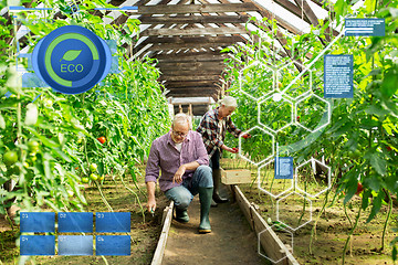 Image showing senior couple working at farm greenhouse