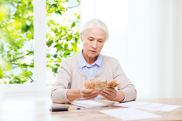 Image showing senior woman with money and papers at home