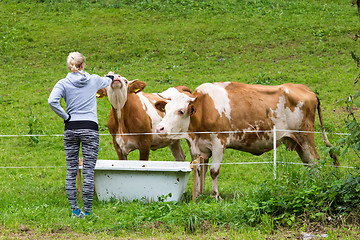 Image showing Active sporty female hiker observing and caressing pasturing cows on meadow.