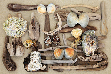 Image showing Driftwood and Seashell Abstract