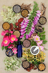 Image showing Natural Floral Health Care 