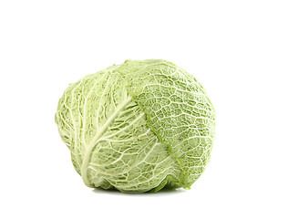 Image showing Green cabbage vegetable