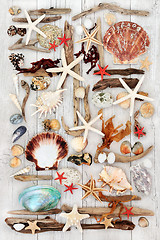 Image showing Seashell and Driftwood Abstract Art