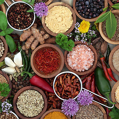 Image showing Fresh and Dried Herb and Spice Selection