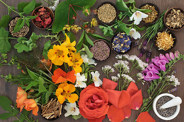 Image showing Flowers and Herbs for Herbal Medicine