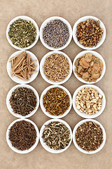 Image showing Sleeping and Calming Herbs