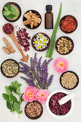 Image showing Herbs for Skincare
