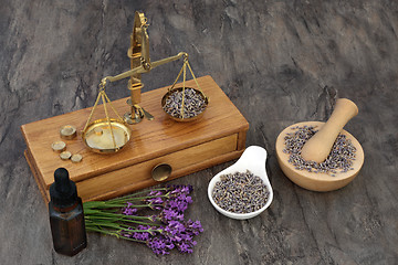 Image showing Lavender Herb Flowers