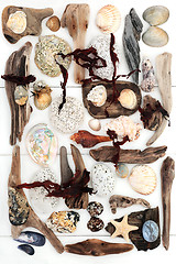 Image showing Driftwood Rocks Seaweed and Seashell Abstract