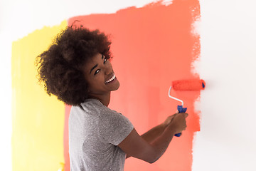 Image showing black woman painting wall