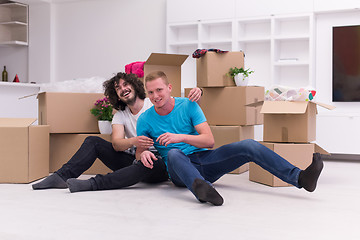 Image showing young  gay couple moving  in new house