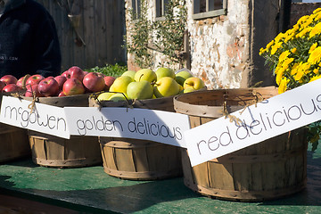 Image showing Fresh Fall Apples for Sale!