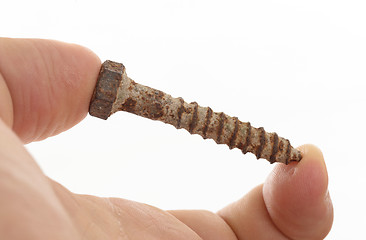 Image showing Rusted old screw isolated
