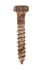 Image showing Rusted old screw isolated