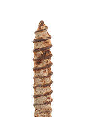 Image showing Rusted old screw isolated