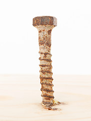 Image showing Rusted old screw isolated