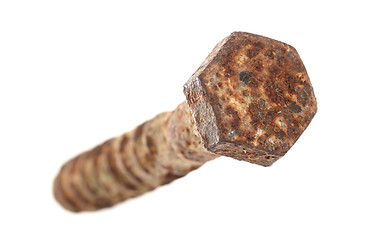 Image showing Rusted old screw isolated