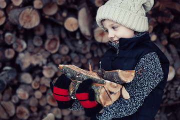 Image showing Little boy chopping firewood in the front yard at the day time.