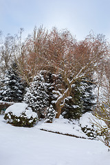 Image showing beautiful winter garden covered by snow