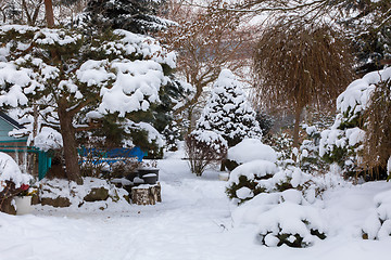 Image showing beautiful winter garden covered by snow