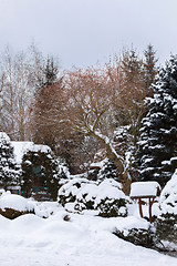 Image showing beautiful winter garden covered by snow