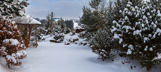 Image showing beautiful winter garden covered by snow