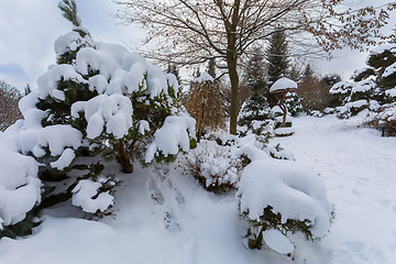 Image showing beautiful winter garden covered by snow