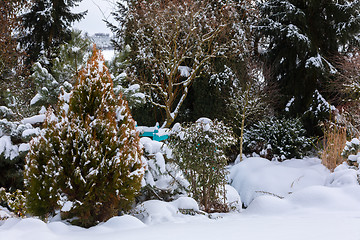 Image showing beautiful winter garden covered by snow