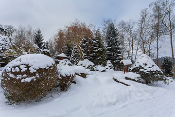 Image showing beautiful winter garden covered by snow