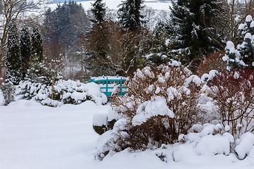 Image showing beautiful winter garden covered by snow