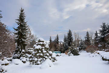 Image showing beautiful winter garden covered by snow