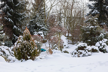 Image showing beautiful winter garden covered by snow