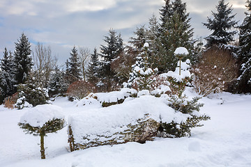 Image showing beautiful winter garden covered by snow