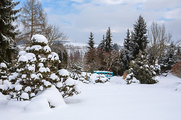 Image showing beautiful winter garden covered by snow