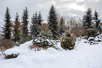 Image showing beautiful winter garden covered by snow