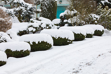 Image showing beautiful winter garden covered by snow