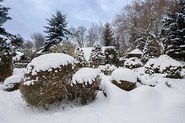 Image showing beautiful winter garden covered by snow