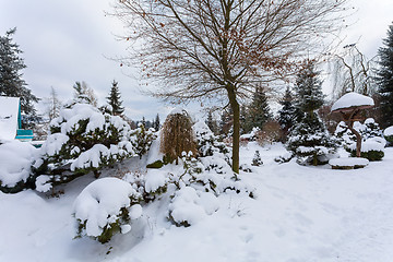 Image showing beautiful winter garden covered by snow