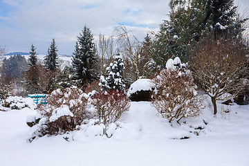 Image showing beautiful winter garden covered by snow