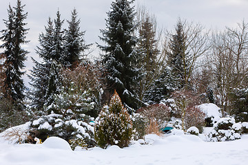 Image showing beautiful winter garden covered by snow