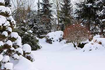 Image showing beautiful winter garden covered by snow