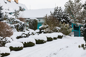 Image showing beautiful winter garden covered by snow