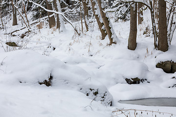 Image showing winter landscape with creek covered by snow