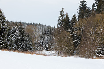 Image showing winter landscape Czech Highland