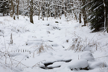 Image showing winter landscape with creek covered by snow