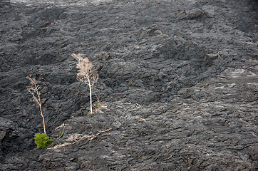 Image showing Lava at Hawaii, United States of America