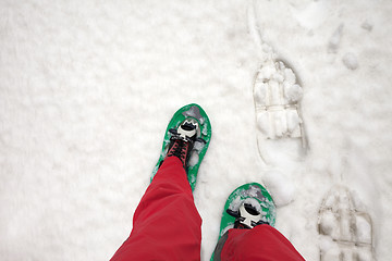 Image showing Hiker in snowshoes on snow