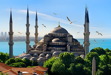 Image showing Blue Mosque and Bosphorus