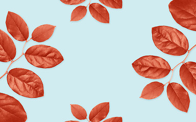 Image showing red leaves on blue background